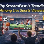 Why StreamEast Is Trending Among Live Sports Viewers