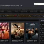 GoMovies – Online Streaming Platform Overview